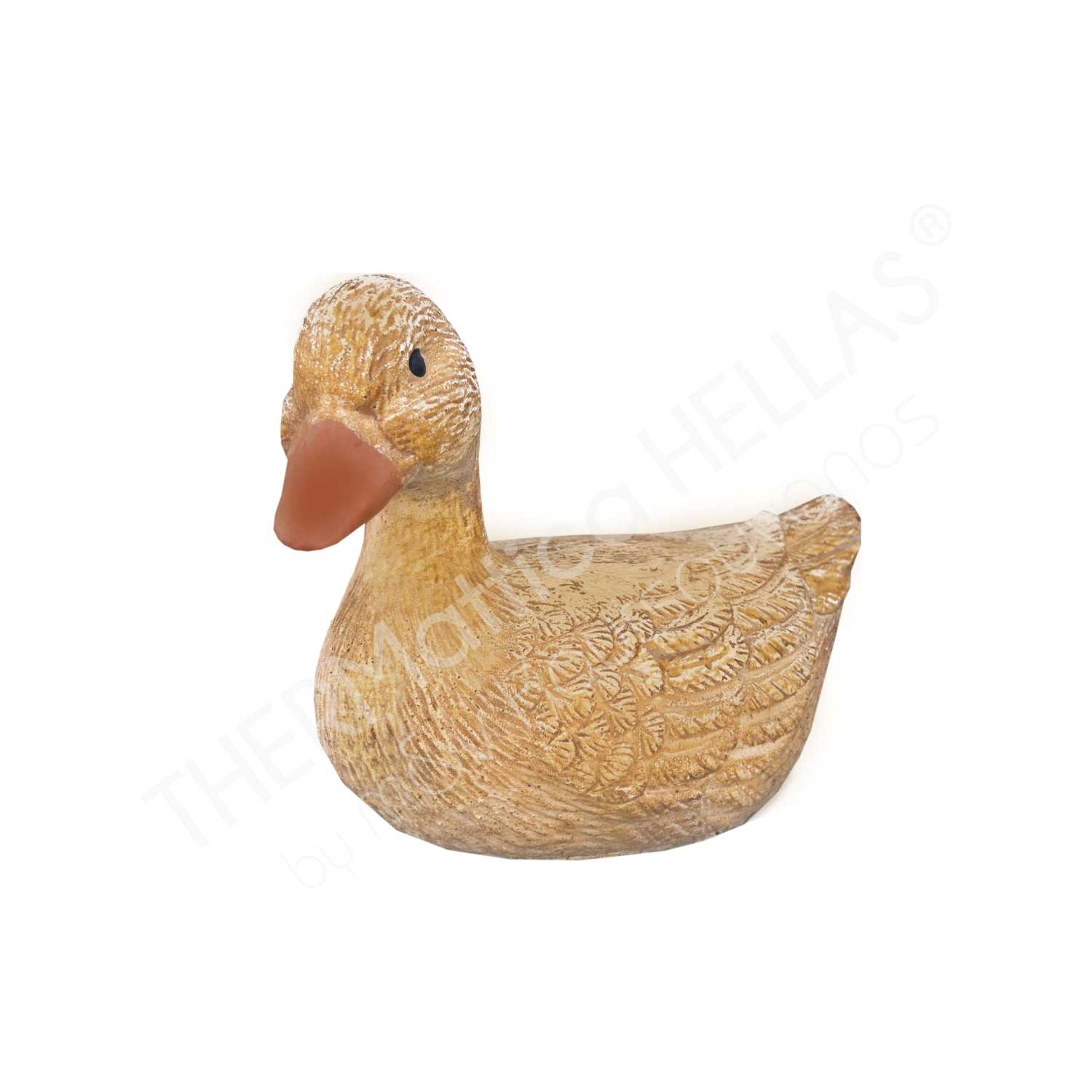 duck_thermattica_258 πάπια, διακοσμητικό, κήπος,